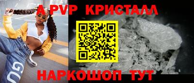 стаф Новокубанск