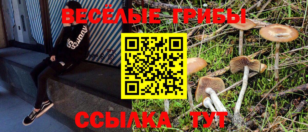 Псилоцибиновые грибы GOLDEN TEACHER  Вход с VPN  Шарыпово 